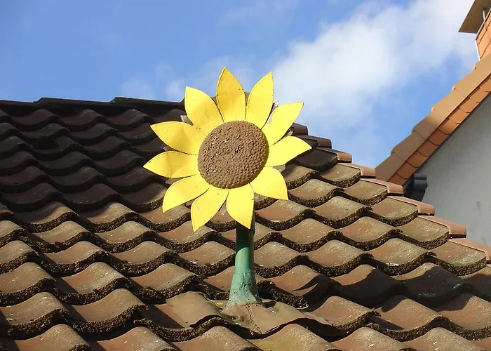 Das Sonnenblumenhaus
